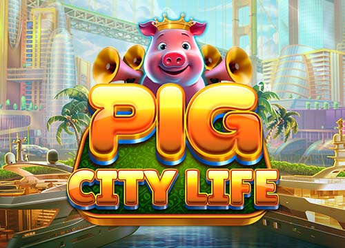 Pig City Life