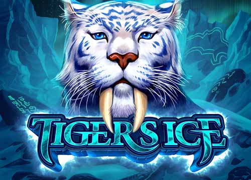 Tigers Ice
