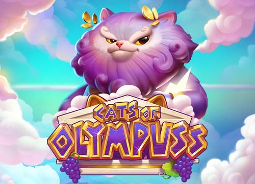 Cats of Olympus