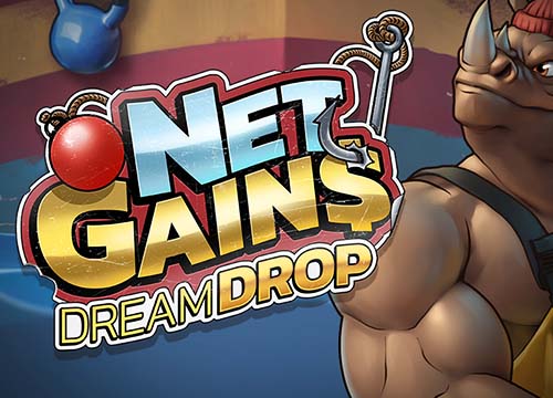 Net Gains Dream Drop