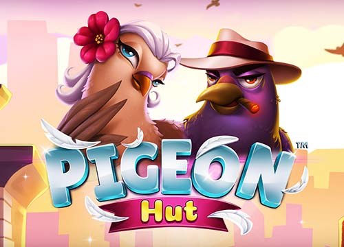 Pigeon Hut