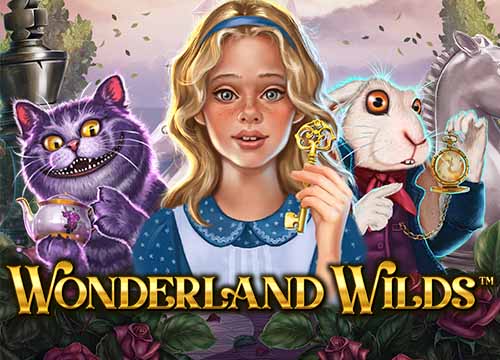 Wonderlands Wilds