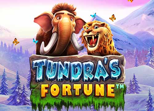 Tundra's Fortune