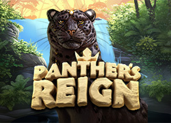 Panther's Reign