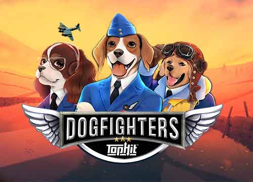Dogfighters - Their Finest Hour