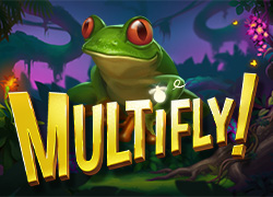 Multifly!