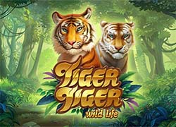 Tiger Tiger